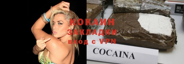 прущие грибы Елизово