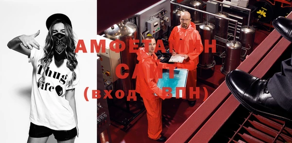прущие грибы Елизово