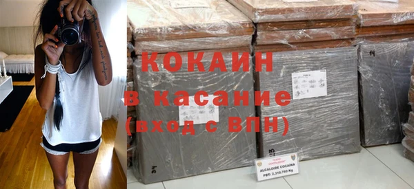 прущие грибы Елизово