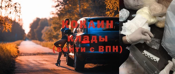 прущие грибы Елизово