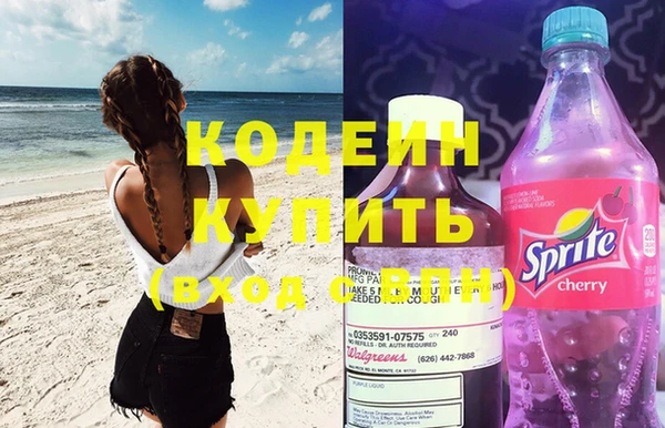прущие грибы Елизово