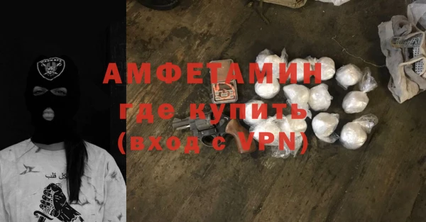 прущие грибы Елизово