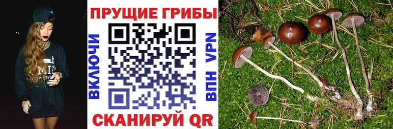 Галлюциногенные грибы GOLDEN TEACHER  Волгодонск 